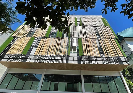 WPC cladding