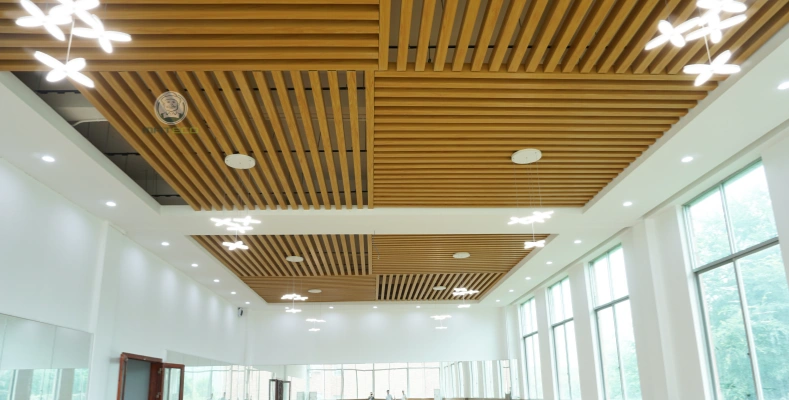 WPC ceiling for interior